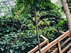 -郑州植物园