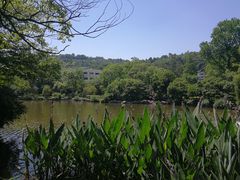-杭州花家山庄