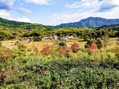 -塔川景区