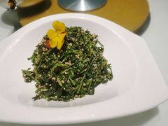 中宁枸杞苗-宁夏国强手抓羊肉·清真菜(未央路凤三店)