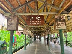 -海南槟榔谷黎苗文化旅游区