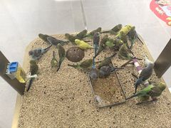 -大悦城(沈阳中街店)