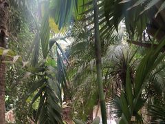 -呀路古热带植物园