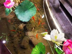 -苏浙徽·江南荟·本味融合菜(相城方圆里店)