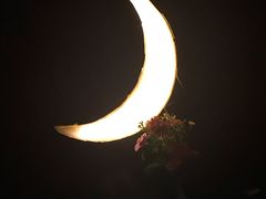 -月下料理(楷林IFC店)