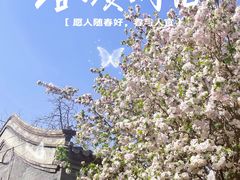 -北京国子监胡同
