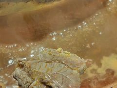 -南门四季铜锅涮肉(大屯·北苑店)