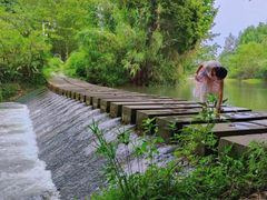 -桤木河湿地公园