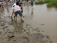 -南汇嘴观海公园