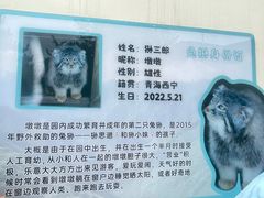 -青藏高原野生动物园