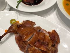 -圆苑(静安寺店)