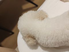 -佳雯宠物医院·皮肤科·内外科(春晓路分院)