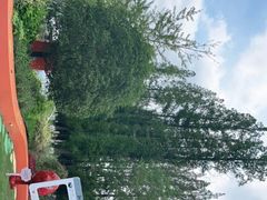 -黄海国家森林公园