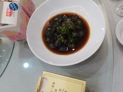 -苏启渔港(云南北路店)