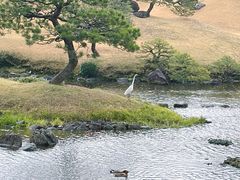 -水前寺成趣园