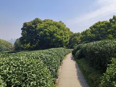-西湖风景区十里琅珰-五云山