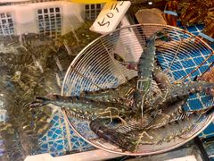 -船奇蒸汽海鲜·闽菜(八市海鲜总店)