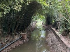 -天赐温泉