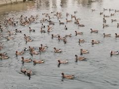 -深圳湾公园(南山区)