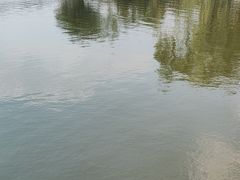 -三锐体育游泳中心