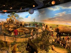 -陕西自然博物馆