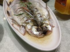 -醉香园(长江北路店)