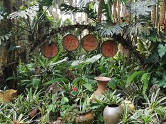 -中国科学院西双版纳热带植物园