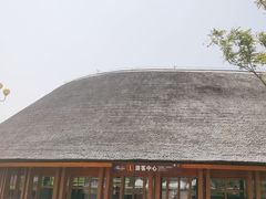 -白洋淀风景区