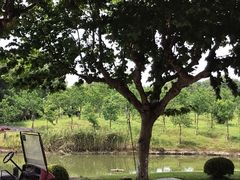 -太阳岛度假酒店