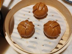 -唐猫庭院·千年陕菜(大唐不夜城店)