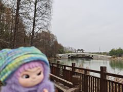 -东湖落雁景区
