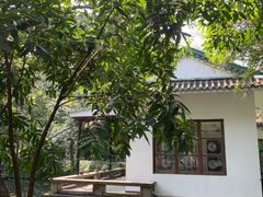 -广州兰圃