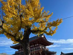 -浅草寺