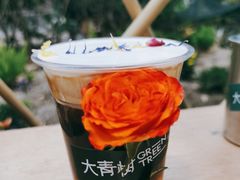 -大青树咖啡(大理古城店)