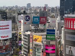 -涩谷区