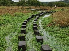 -大九湖