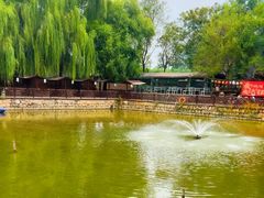 -尚庄度假村·庭台树下·户外烧烤·团建CS·轰趴营地(上庄水库店)