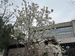 -上海交通大学医学院附属仁济医院(南院)