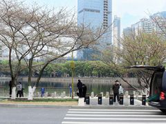 -西北湖绿化广场