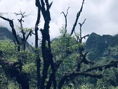 -贡嘎雪山
