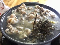 石橄榄汤-鸡弟鸡煲火锅
