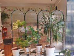 -一尺花园(安和花园店)