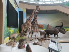 -陕西自然博物馆