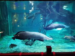 -华夏文旅海洋公园