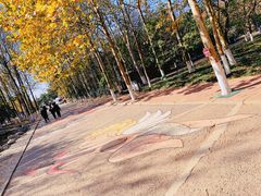 -八大关景区