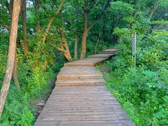 -帽儿山国家森林公园