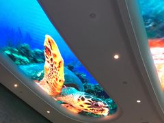 -瑞德姆美人鱼海底演艺主题餐厅(亚龙湾店)