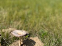 -呼和诺尔旅游景区