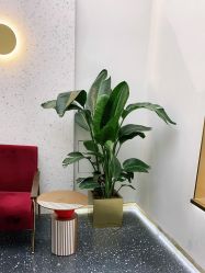 -JUNO hair salon