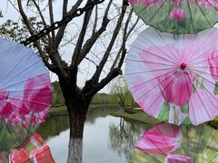 -上海鲜花港